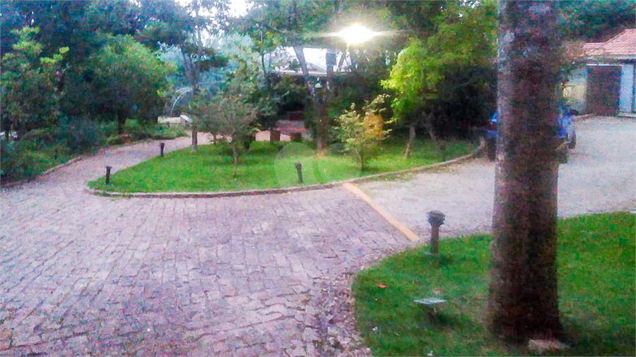 Foto REO1126481