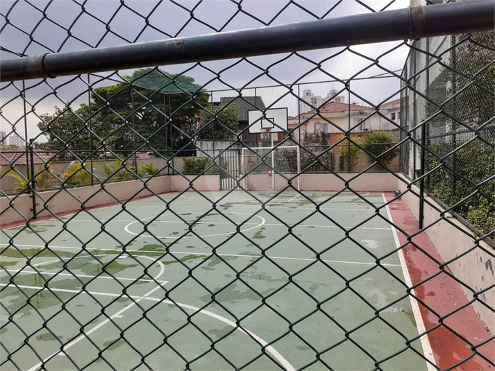 Foto REO1126483