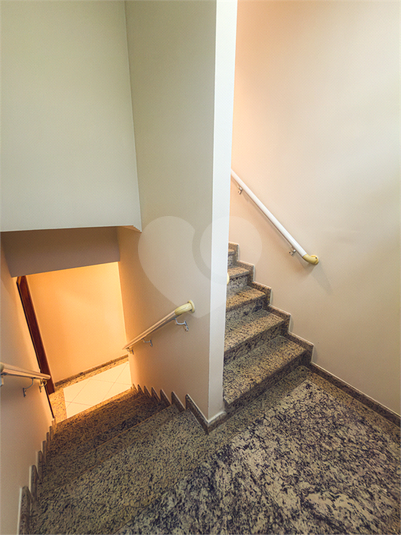 Foto REO1126484