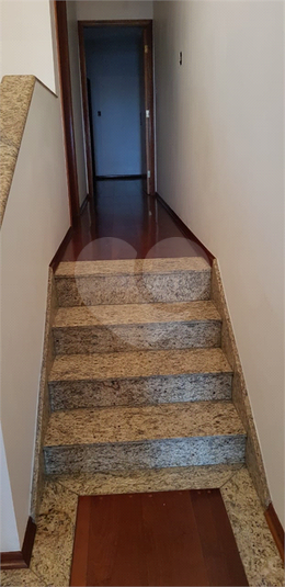 Foto REO1126505