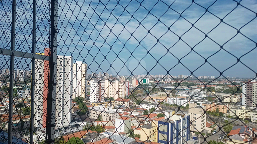 Foto REO1126538