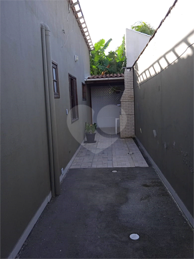 Foto REO1126543