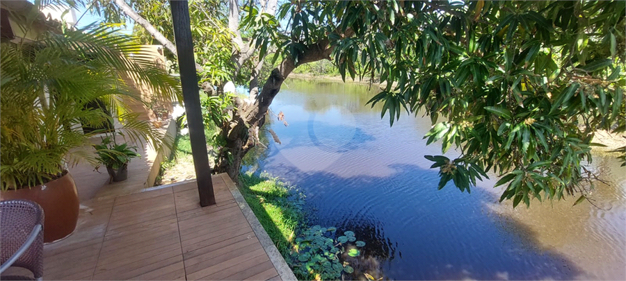 Foto REO1126548