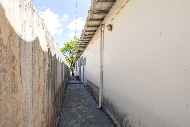 Foto REO1126561