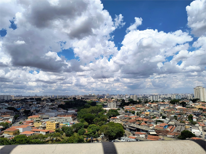 Foto REO1126577