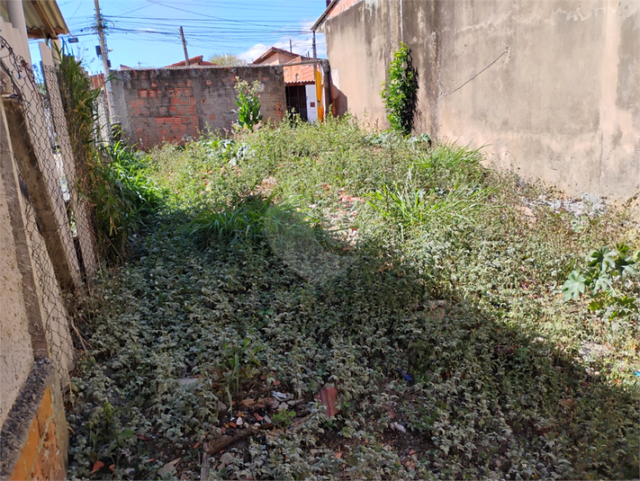 Foto REO1126593