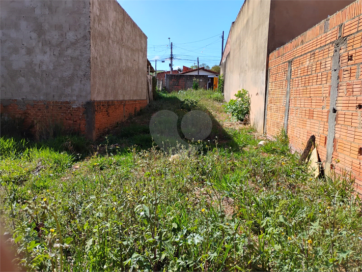 Foto REO1126593