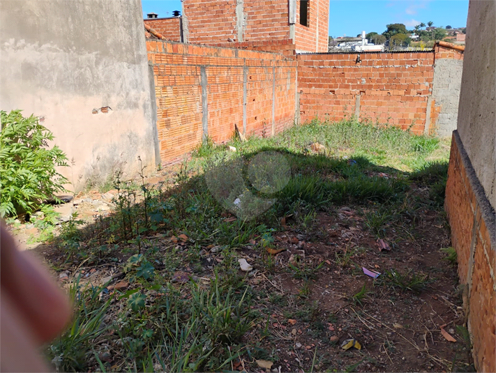 Foto REO1126593