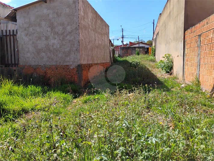 Foto REO1126593