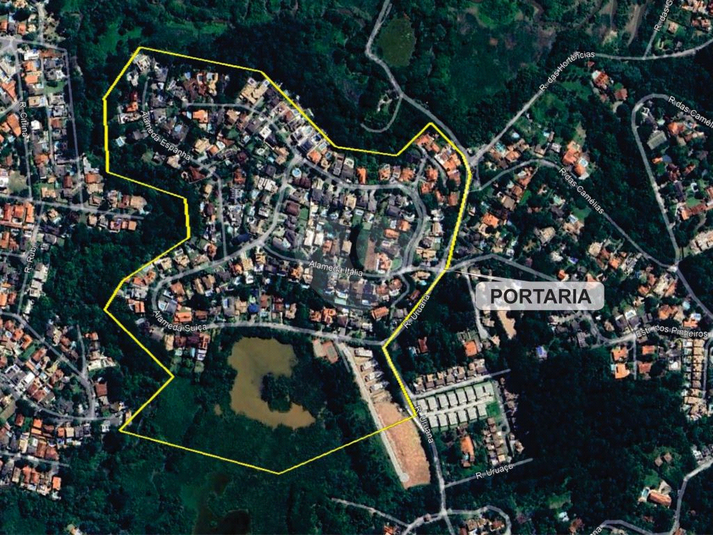 Foto REO1126596