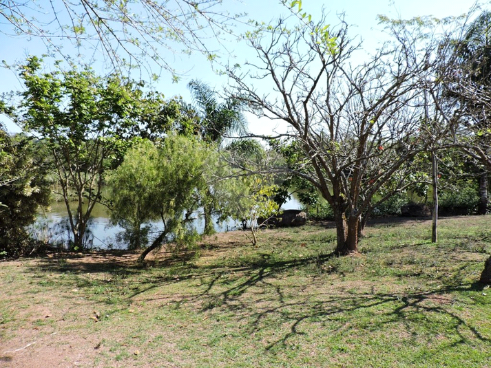 Foto REO1126596