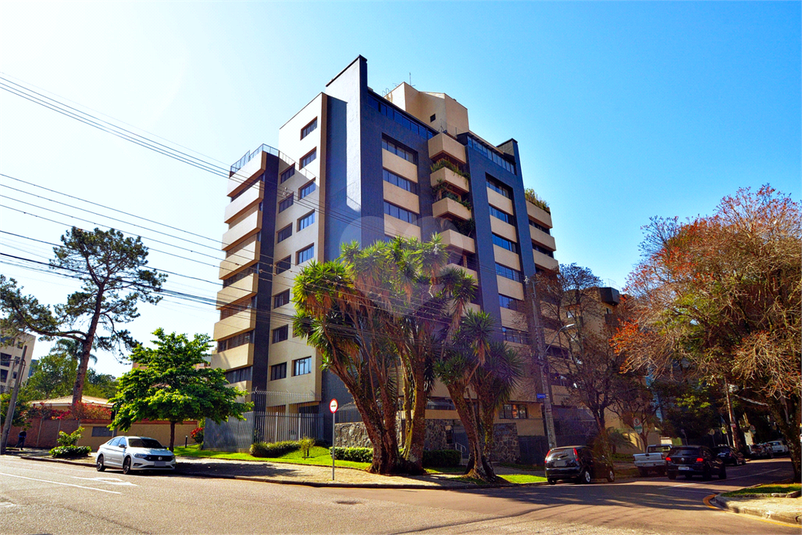 Foto REO1126597