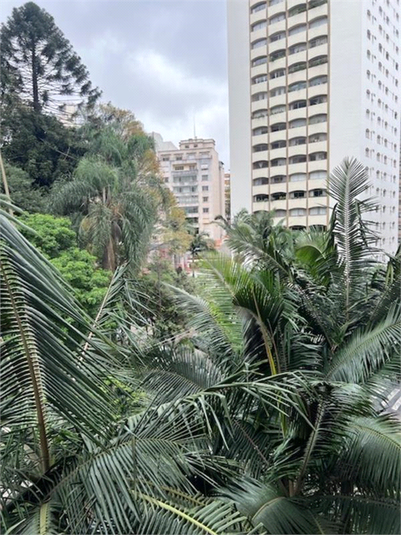 Foto REO1126604