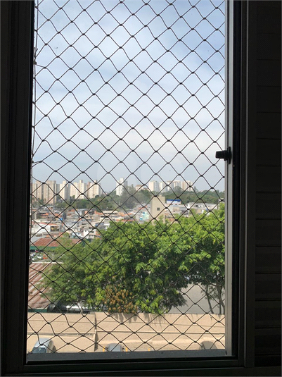 Foto REO1126609