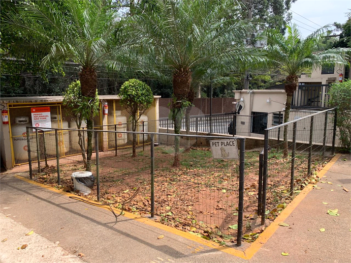 Foto REO1126609