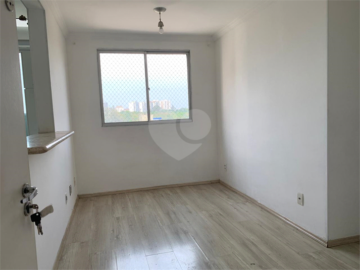 Foto REO1126609