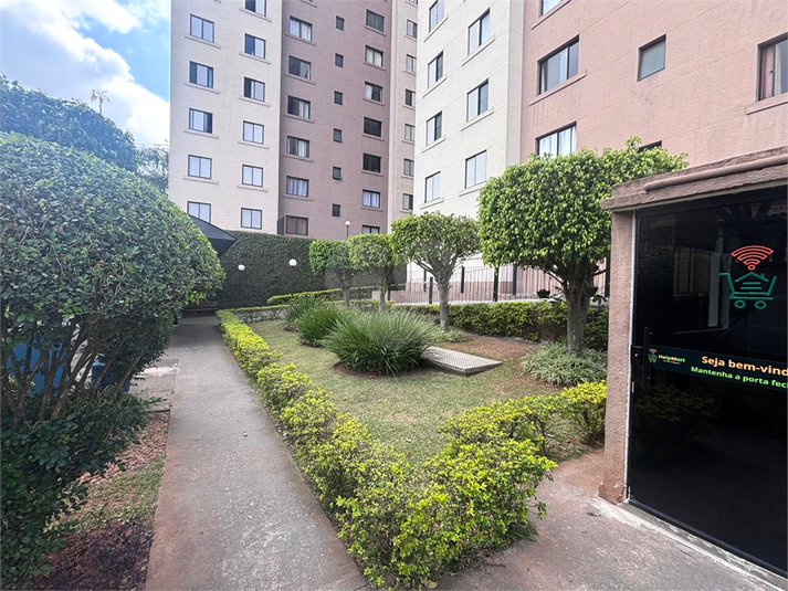 Foto REO1126611