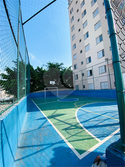 Foto REO1126631