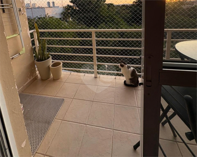 Foto REO1126638