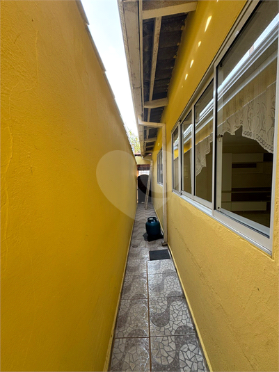 Foto REO1126647