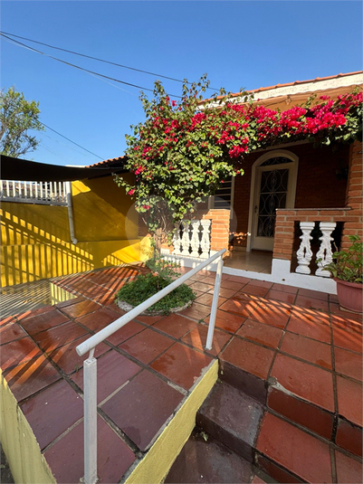 Foto REO1126647