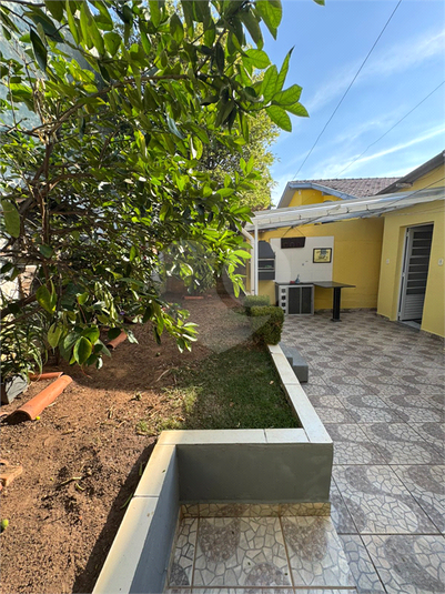 Foto REO1126647