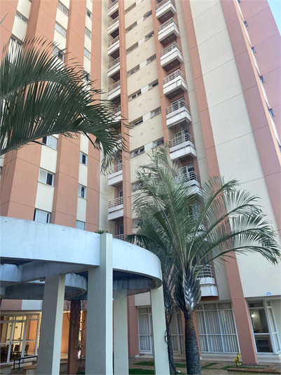 Foto REO1126648