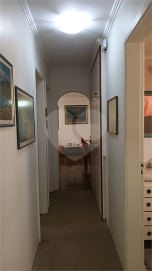 Foto REO1126649