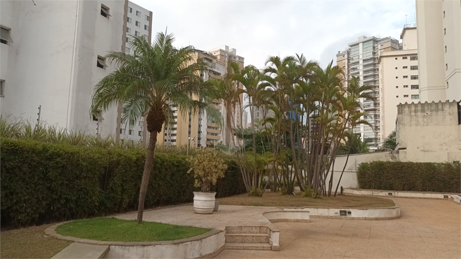 Foto REO1126649