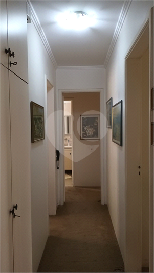 Foto REO1126649