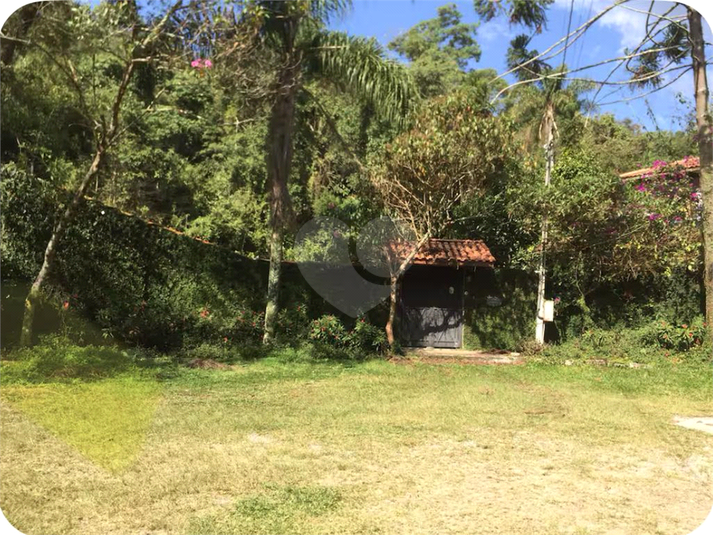 Foto REO1126654