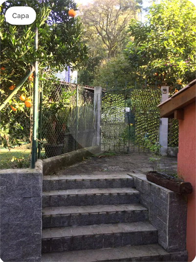 Foto REO1126654