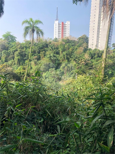 Foto REO1126676