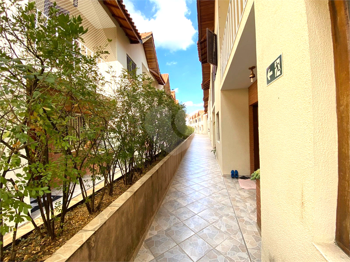 Foto REO1126683