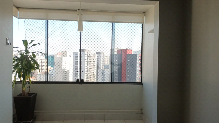 Foto REO1126696