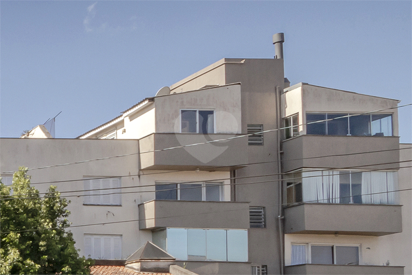 Foto REO1126706