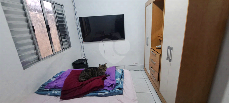 Foto REO1126725