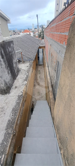 Foto REO1126725