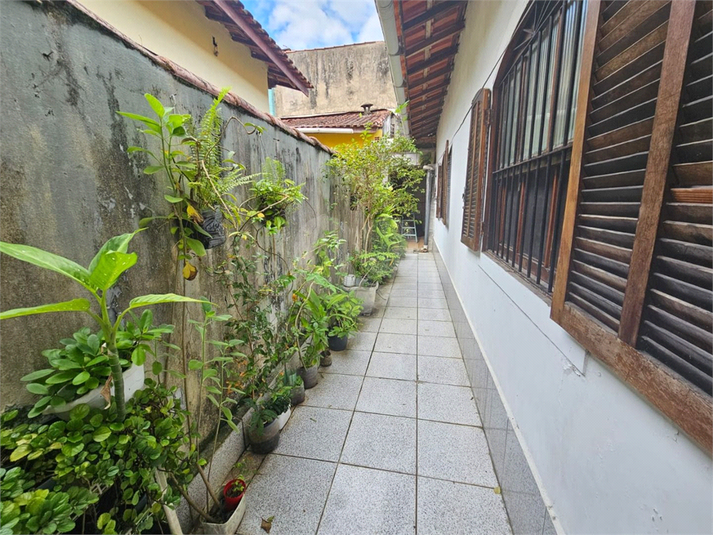 Foto REO1126735