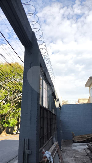 Foto REO1126737