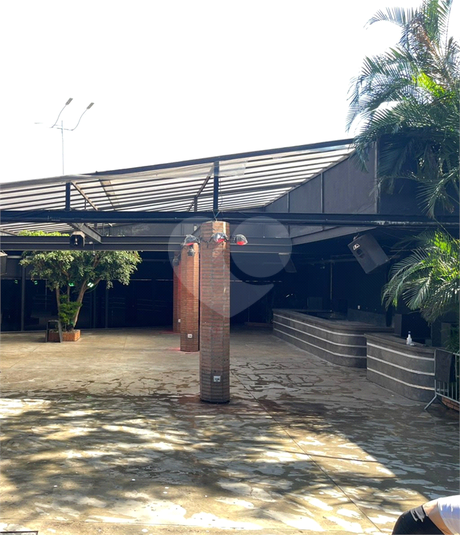 Foto REO1126743