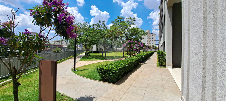 Foto REO1126766