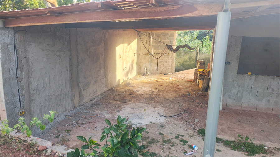 Foto REO1126781