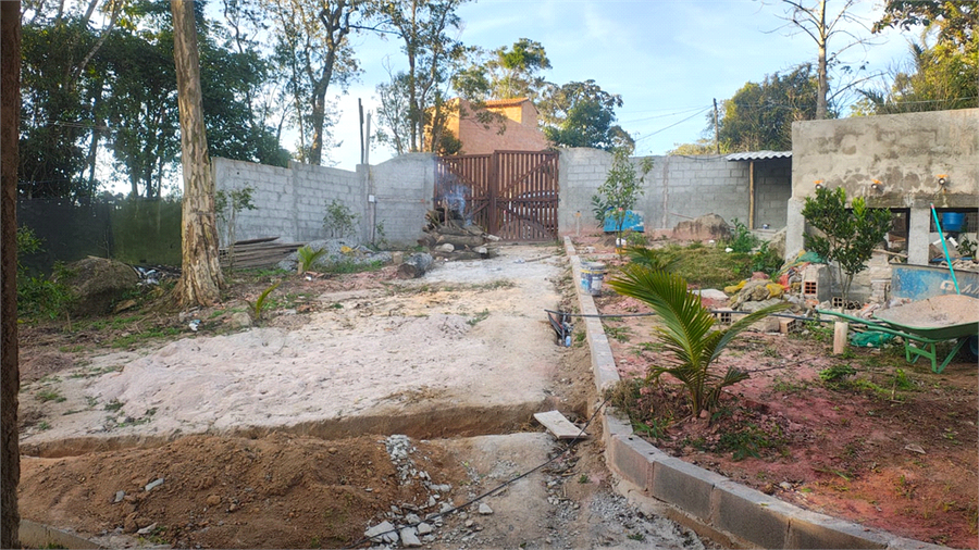 Foto REO1126781