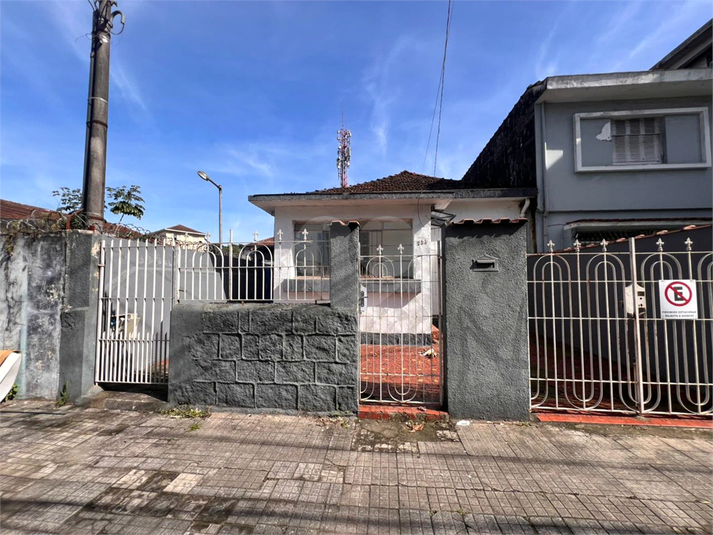 Foto REO1126783