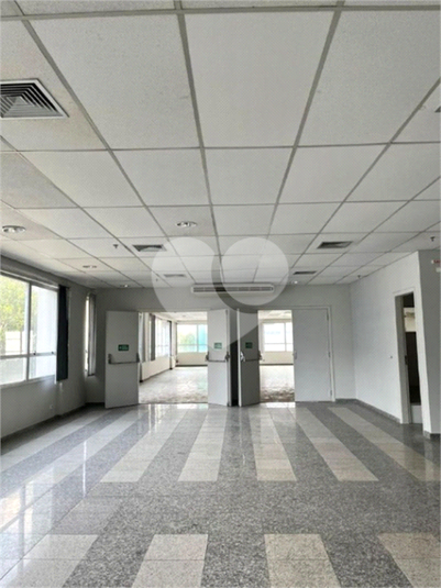 Foto REO1126824