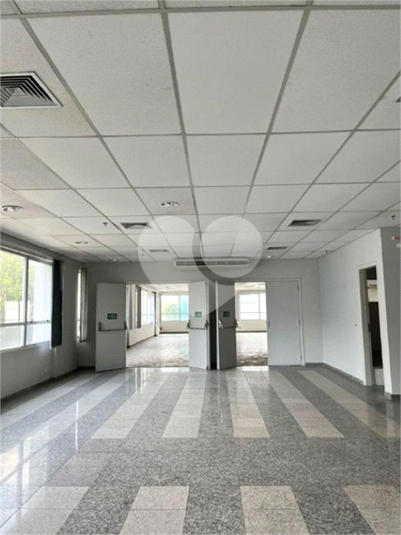 Foto REO1126824