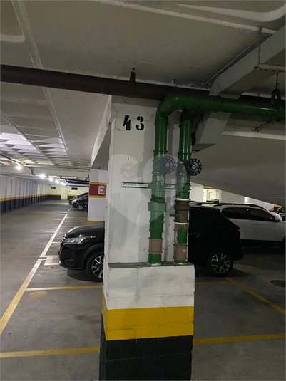 Foto REO1126827