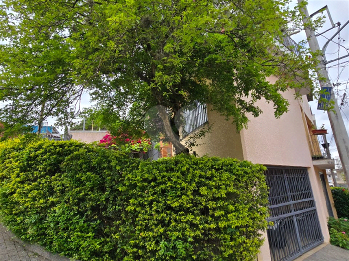 Foto REO1126828