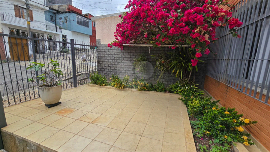 Foto REO1126828